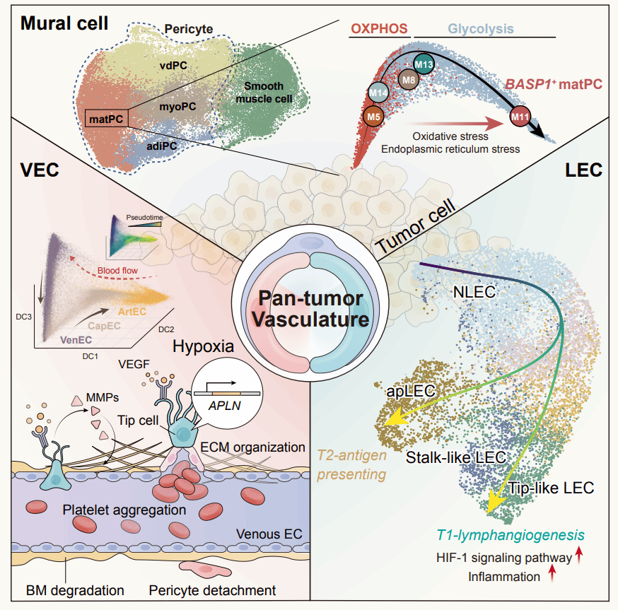 1720626735154427.png 微信圖片_20240710235042.png