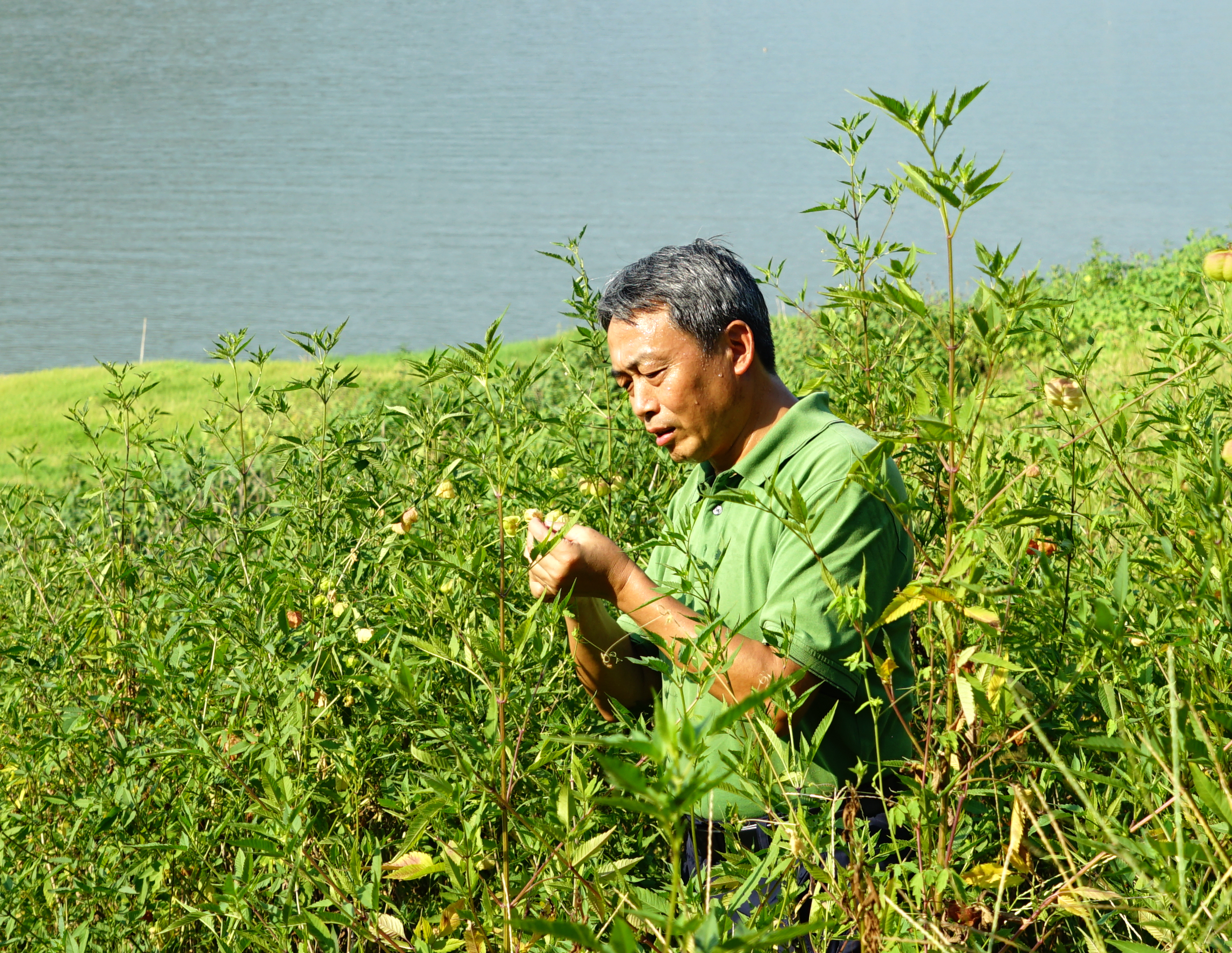 袁興中在奉節縣草堂湖消落帶調查.JPG